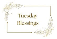 Tuesday Blessings Tuesday Blessings