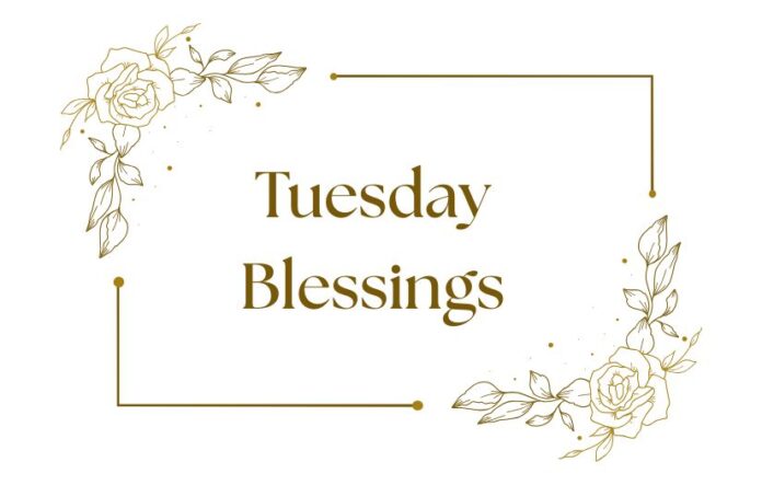 4 Tuesday Blessings