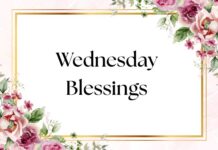 Wednesday Blessings Wednesday Blessings