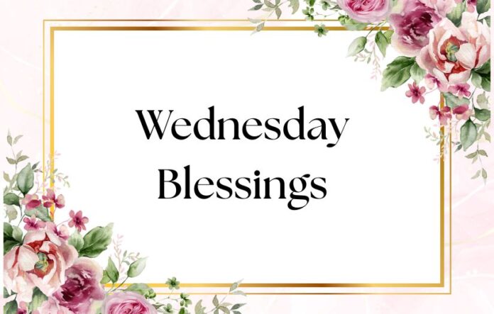 5 Wednesday Blessings